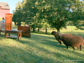 little barn springhouse chadds ford pa